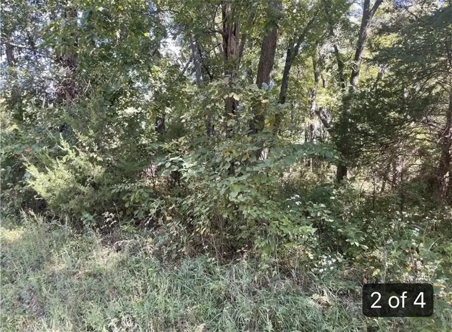 Lot 2701 Fox Road, Altamont, MO 64620 - #3