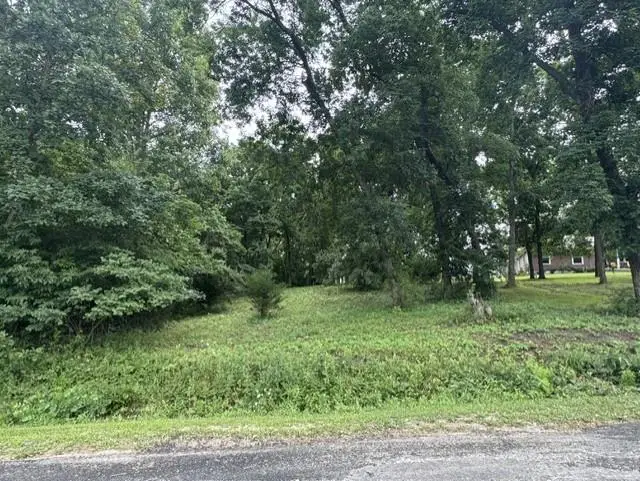 Lot 1915 1916 Lake Viking Terrace, Gallatin, MO 64640 - #3