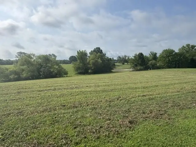 Lot 4003 Annapolis Drive, Gallatin, MO 64640 - #2