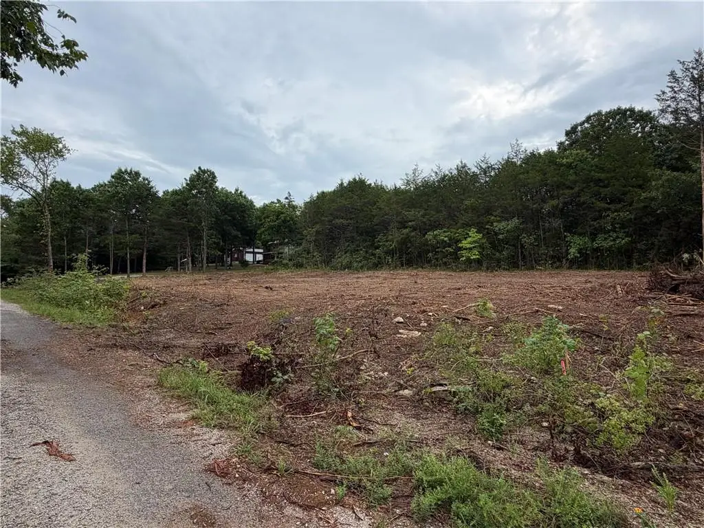 278 N Millwood Street, Shell Knob, MO 65747 - #1