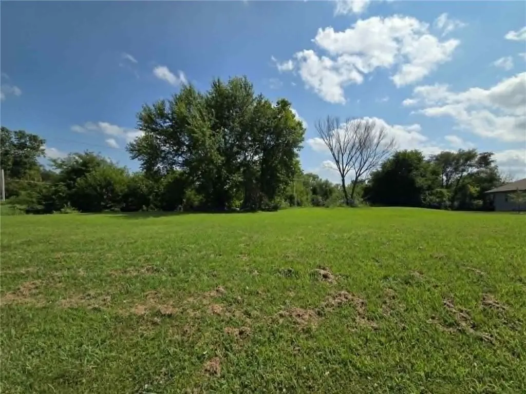 2509 Jones Ranch Parkway, Harrisonville, MO 64701 - #1