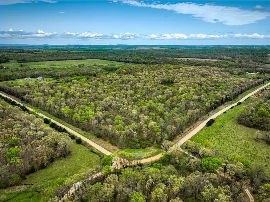 21395 SE 2124 Road, Stockton, MO 65785 - #2