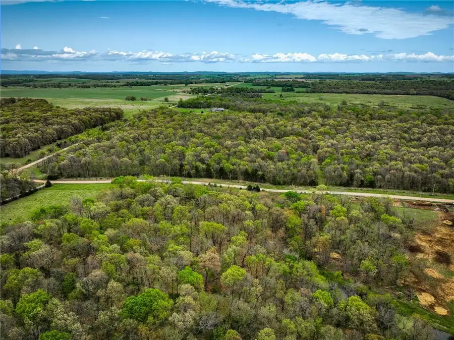 Lot 2 S 725 Road, Stockton, MO 65785 - #3