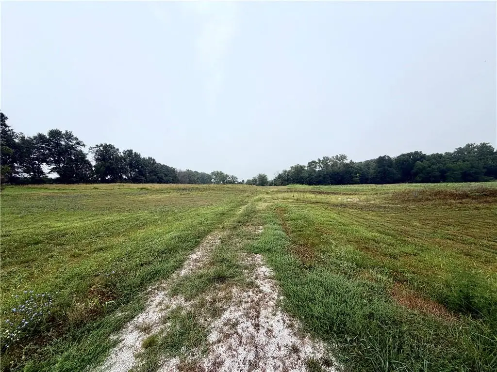Ozark Lane, Higginsville, MO 64037 - #1
