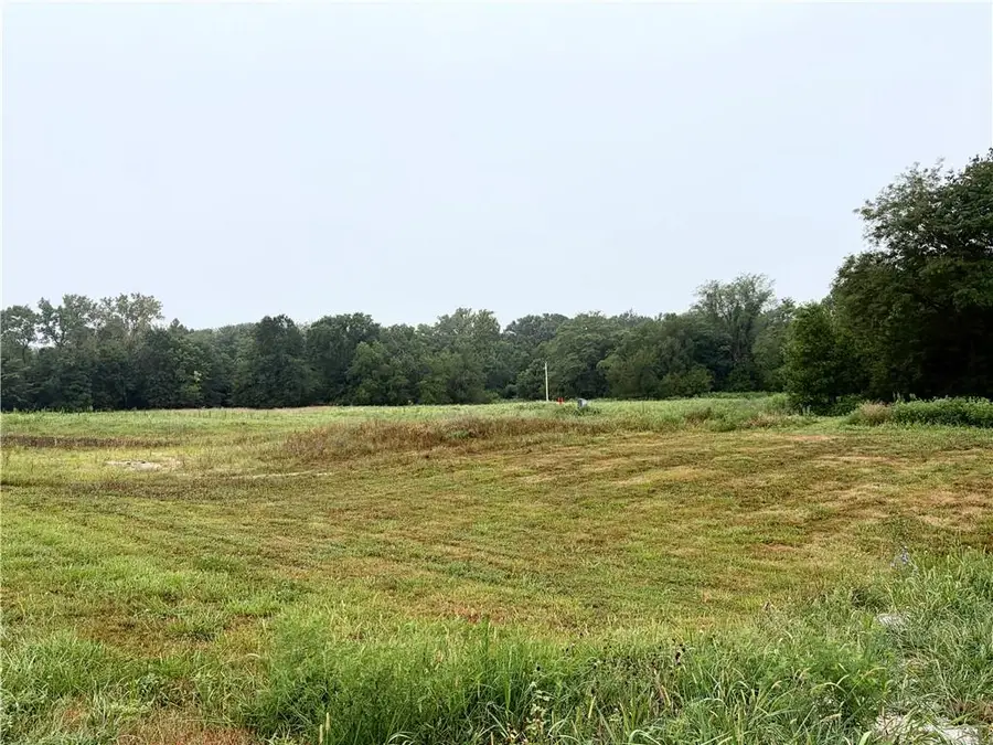 Ozark Lane, Higginsville, MO 64037 - #2