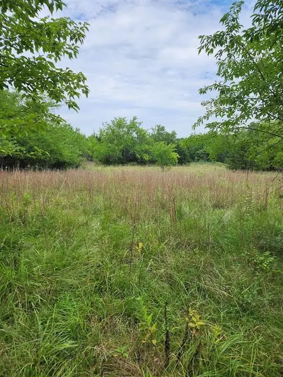 TBD East 301st Street, Drexel, MO 64742 - #2