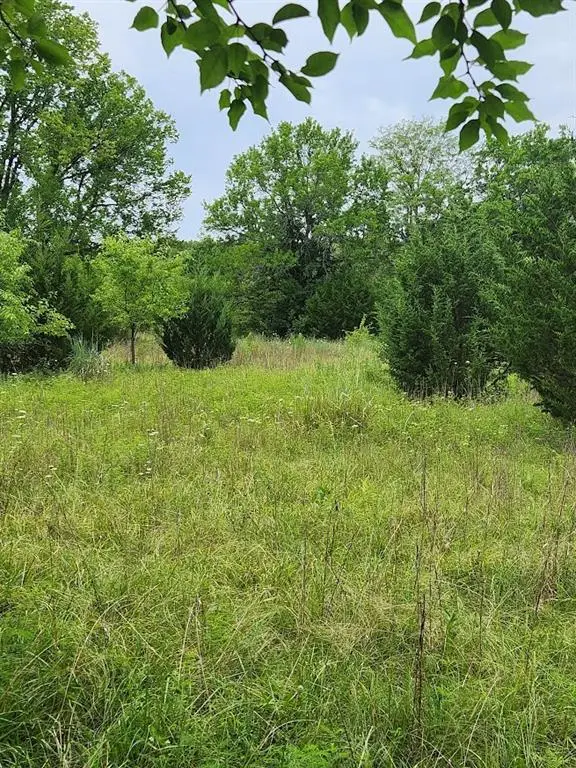 TBD East 301st Street, Drexel, MO 64742 - #3