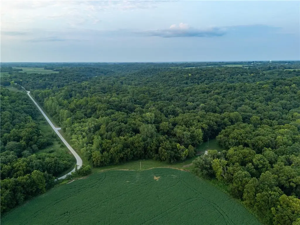 Fire Branch Road, Rayville, MO 64084 - #1