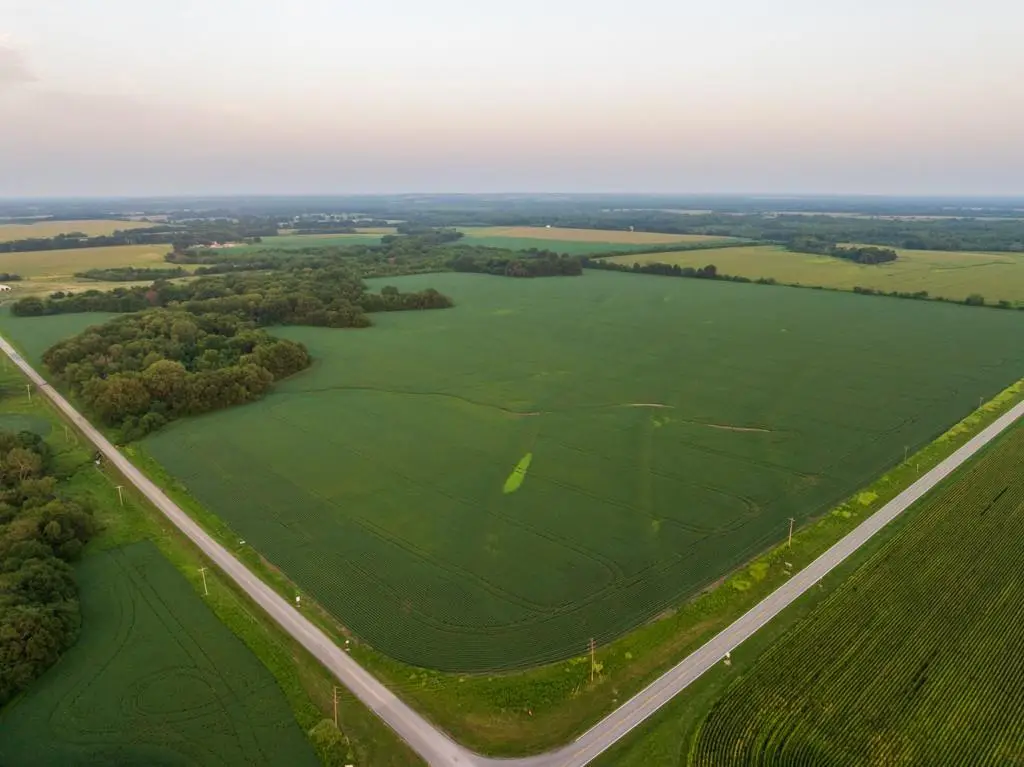 000 Highway T Highway, Deerfield, MO 64741 - #1