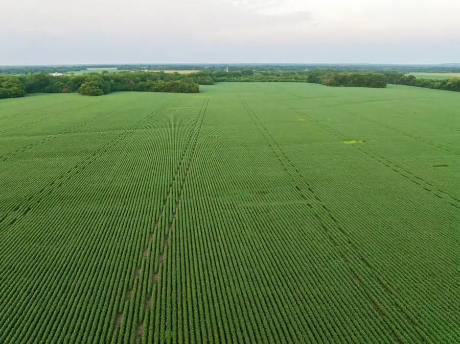 000 Highway T Highway, Deerfield, MO 64741 - #2