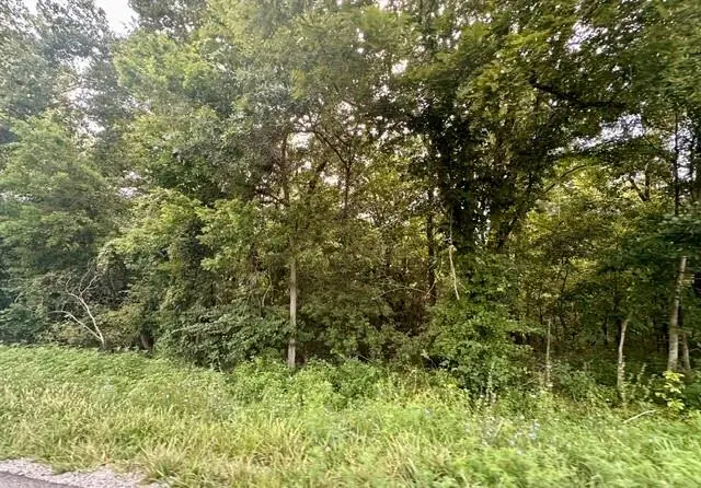 TBD 69 Highway, Turney, MO 64493 - #2