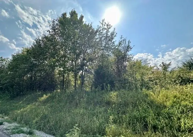 TBD 69 Highway, Turney, MO 64493 - #3