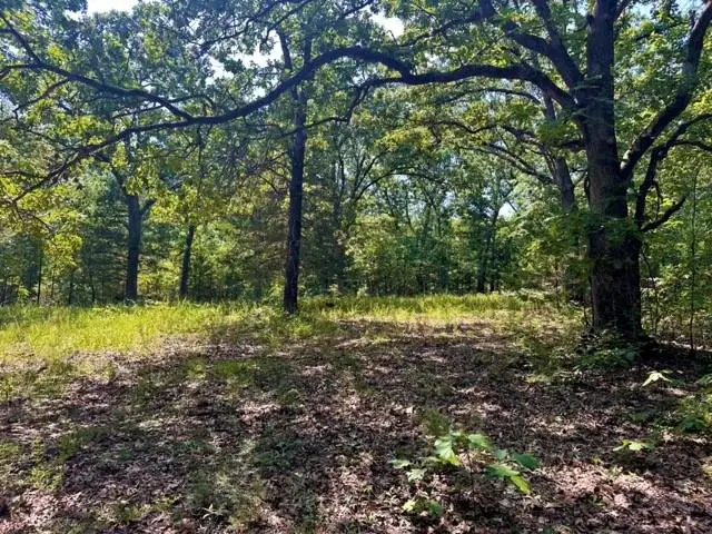 33001 Panther Way, Cole Camp, MO 65325 - #1