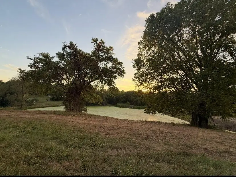 1551 NE Woods Chapel Road, Lees Summit, MO 64064 - #1