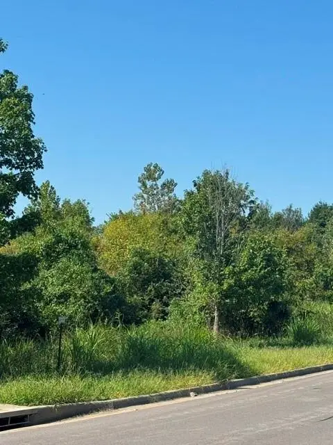 Brookside Drive, Blue Springs, MO 64015 - #1