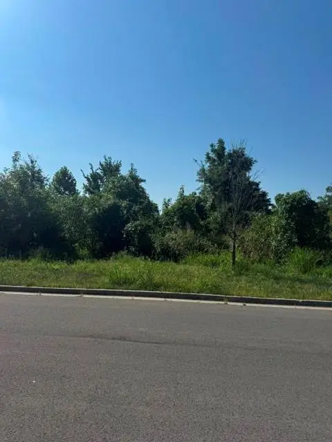 Brookside Drive, Blue Springs, MO 64015 - #2