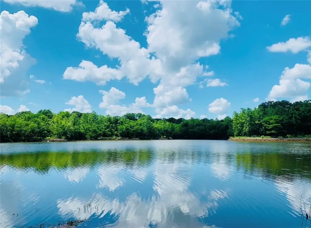 451 NE 151 Road Ne, Osceola, MO 64776 - #1