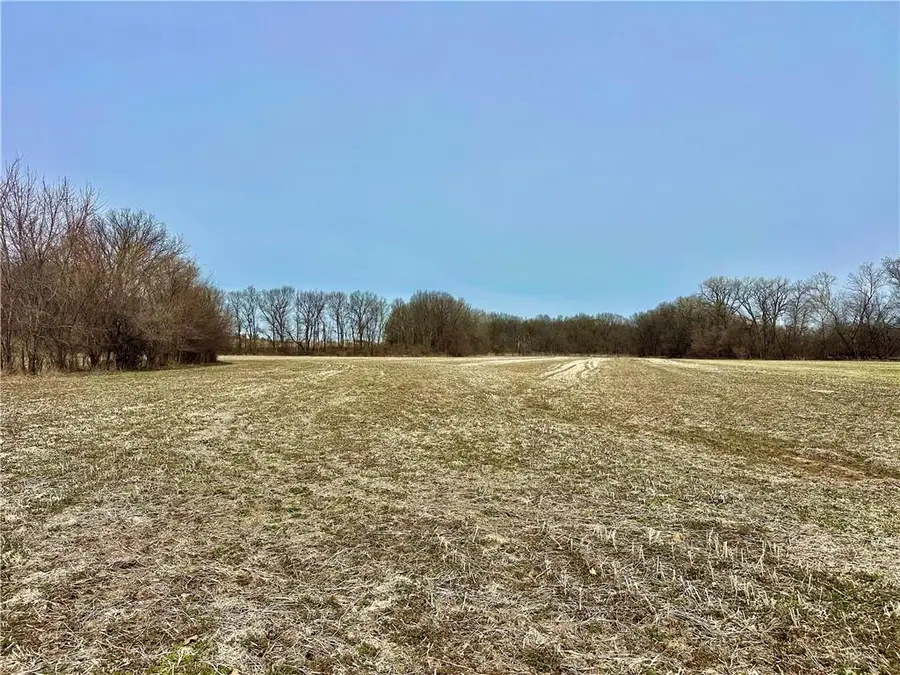 NW 401 Road, Chilhowee, MO 64733 - #3