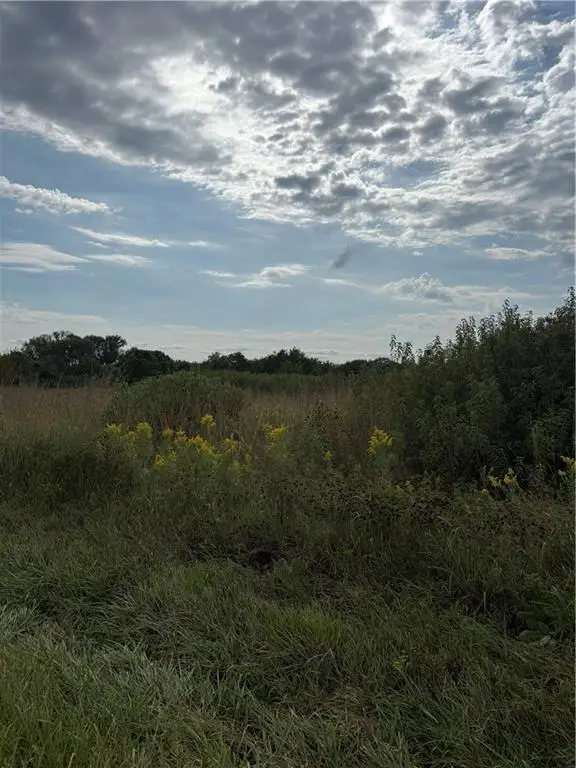 Pressonville Road, Paola, KS 66071 - #3