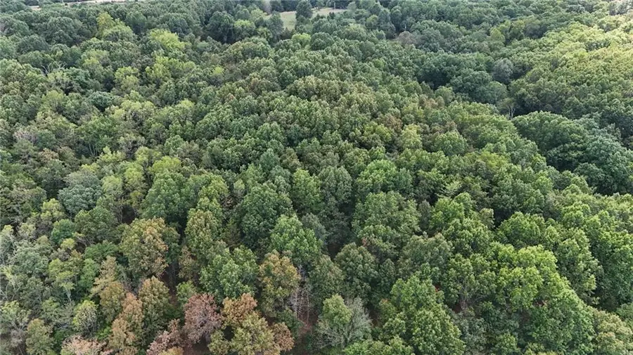 xx Aspen Road, Ozark, MO 65721 - #3