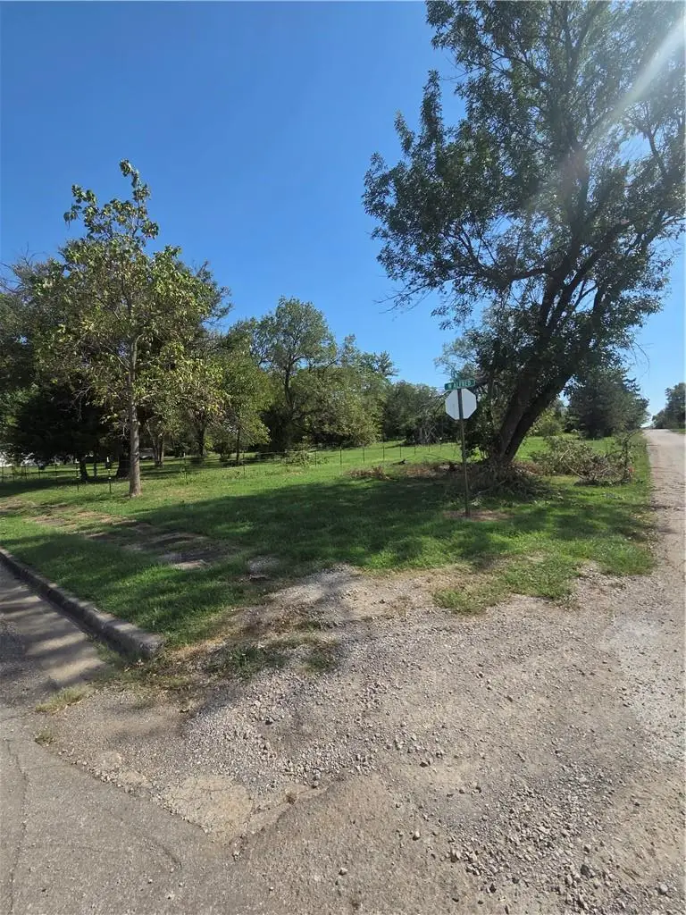 Alfred Street, Mulberry, KS 66756 - #1