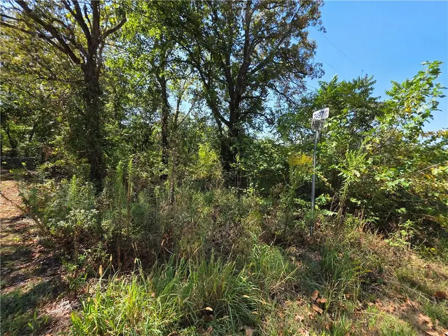 000 E Abbott Road, Schell City, MO 64783 - #2