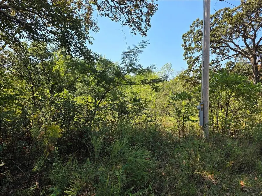 000 E Abbott Road, Schell City, MO 64783 - #3