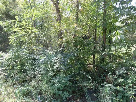 0000 W Crescent Rim Drive, Ozawkie, KS 66070