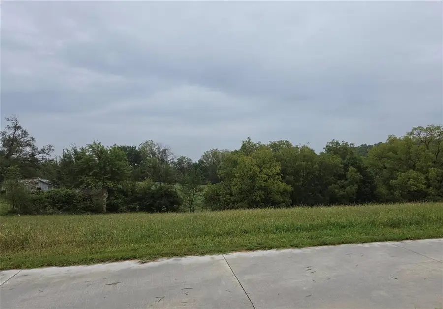 15 S 98th Street, Edwardsville, KS 66111 - #3