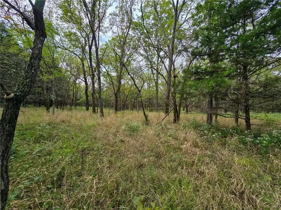 22102 75 Highway, Lyndon, KS 66451 - #3
