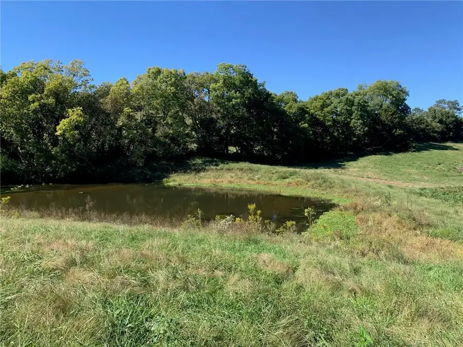 21755 Grass Pad Road, Platte City, MO 64079 - #3