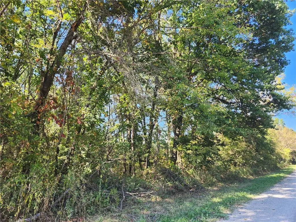 S Sawmill Road, Harrisonville, MO 64701 - #1