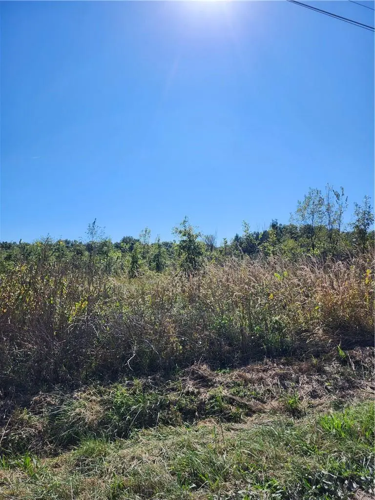 S Sawmill Road, Harrisonville, MO 64701 - #3