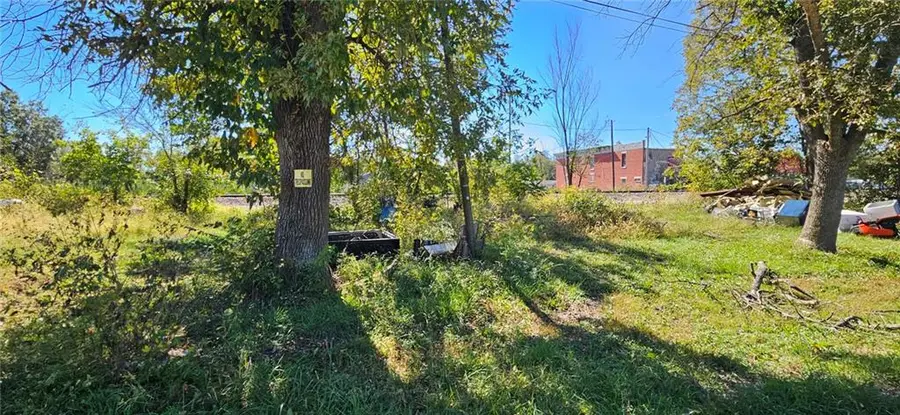 313 W Olinger Street, Strasburg, MO 64090 - #3