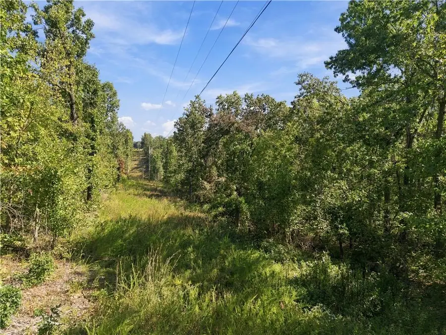 894 1135 Road, Deepwater, MO 64740 - #3