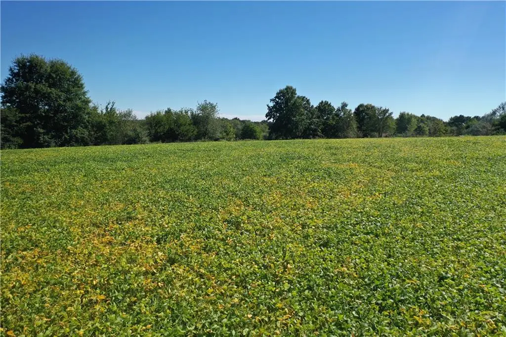 Icon Road, Brookfield, MO 64628 - #1