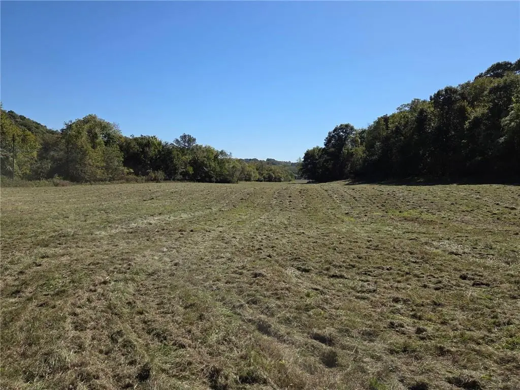 Holt 324 Road, Forbes, MO 64470 - #1