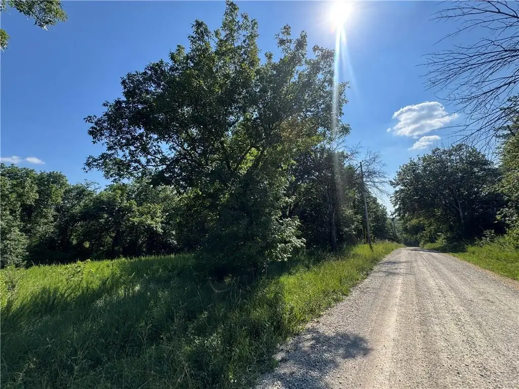 Lot 234 Fishing River Road, Excelsior Springs, MO 64024 - #1