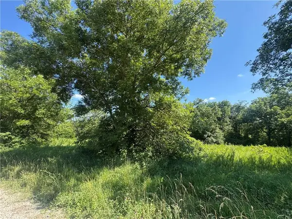 Lot 236 Fishing River Road, Excelsior Springs, MO 64024