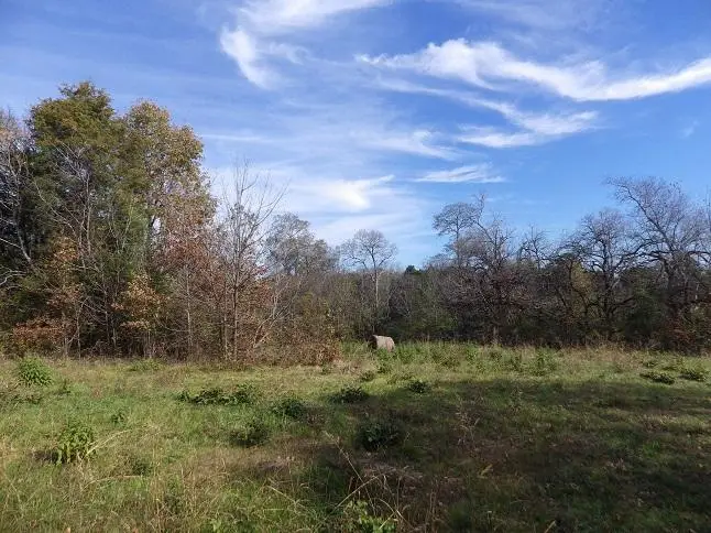 Address Withheld By Seller, Starkville, MS 39759 - #2