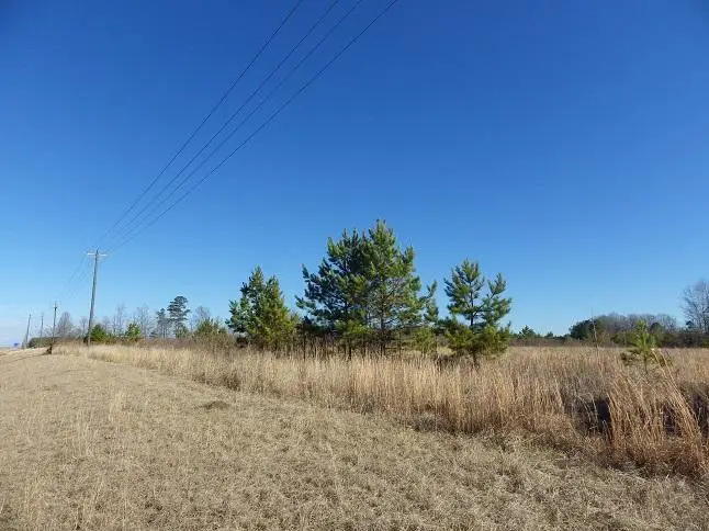 Hwy 25 Bypass, Starkville, MS 39759 - #3