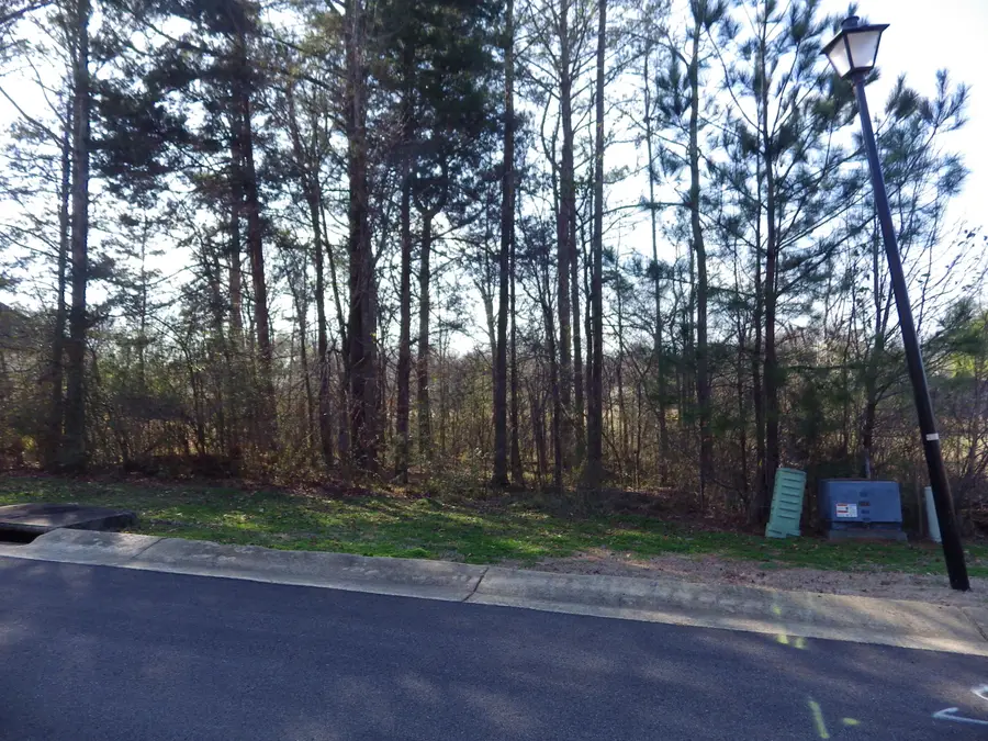 Lot 437 Day Lily Drive, Starkville, MS 39759 - Image #2