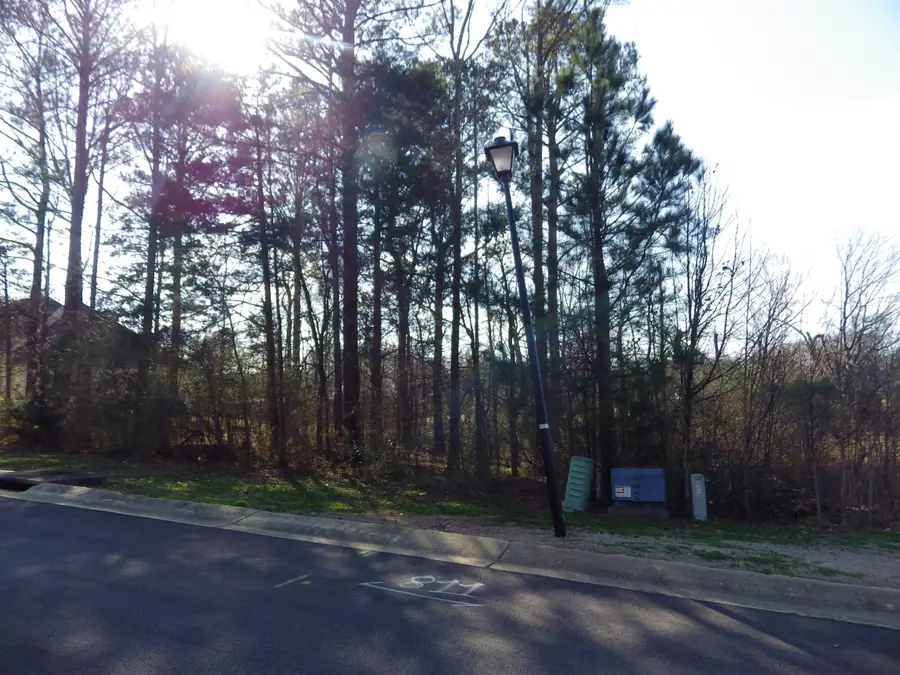 Lot 437 Day Lily Drive, Starkville, MS 39759 - Image #3