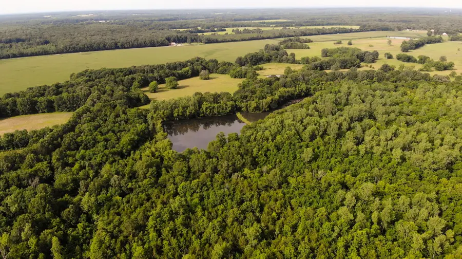 00 Artesia Rd, Starkville, MS 39759 - Image #2