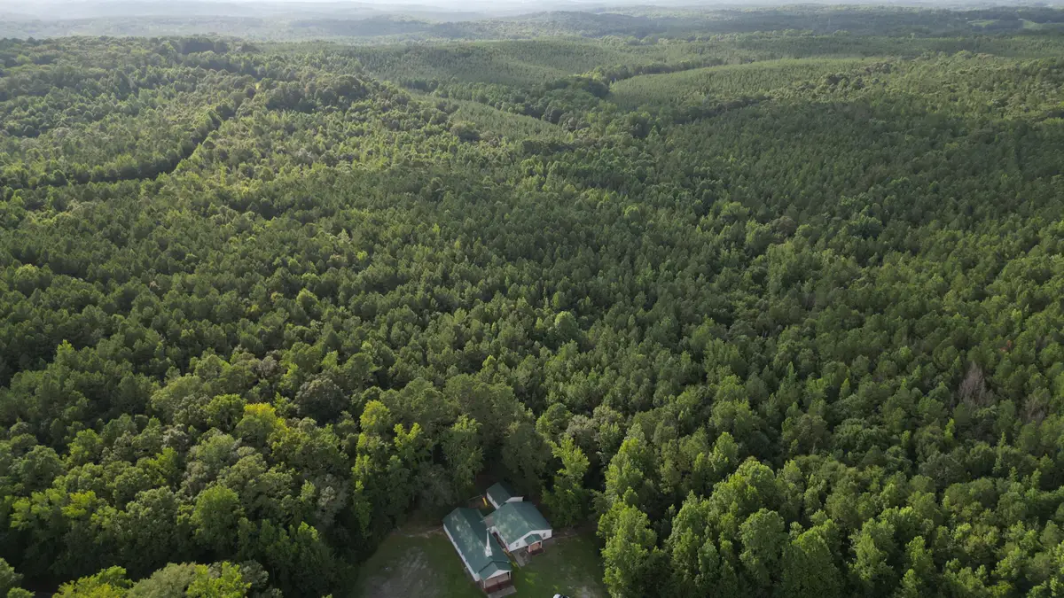 County Road 23, Vina, AL 35593 - Image #1