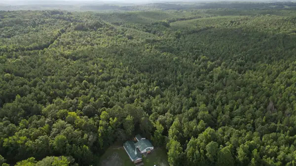 County Road 23, Vina, AL 35593