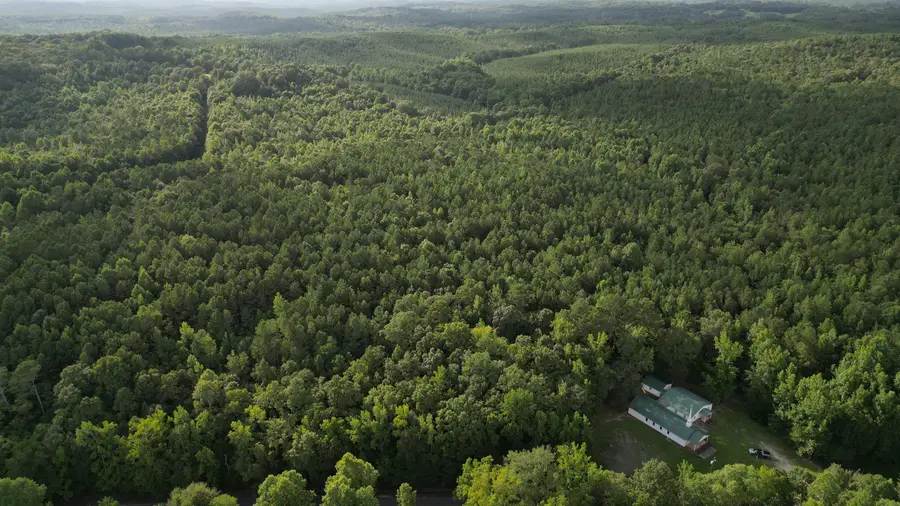 County Road 23, Vina, AL 35593 - Image #2