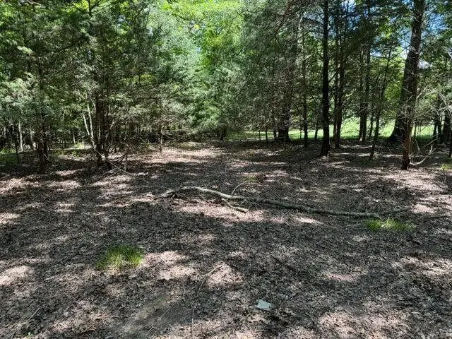 0 Prairie Mills Rd, Prairie, MS 39756 - #2