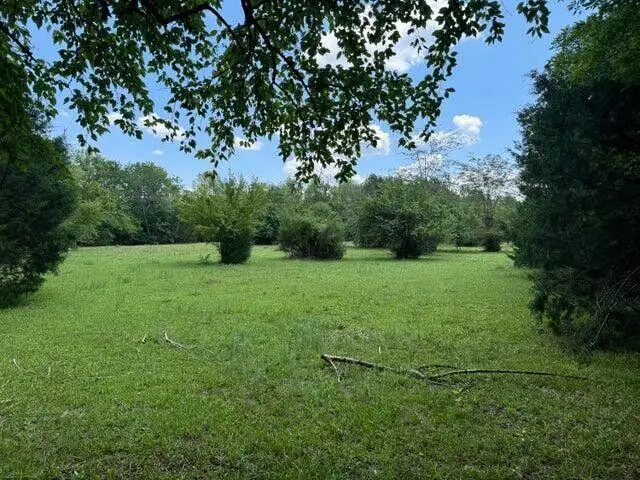 0 Prairie Mills Rd, Prairie, MS 39756 - #3