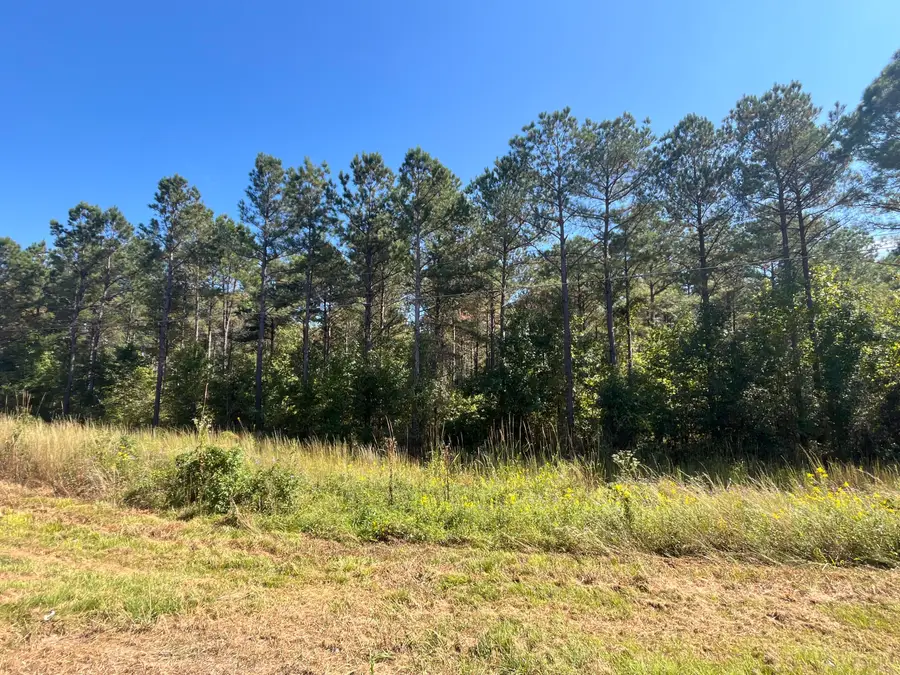 Pleasant Grove Road, Louisville, MS 39339 - #3